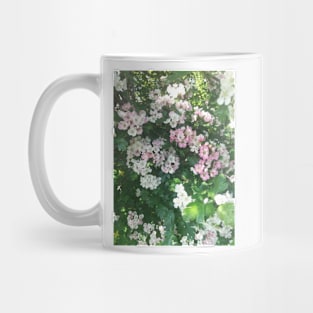 Pink hawthorns photograph Mug